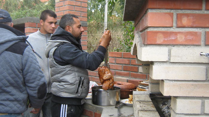 IMG_3166 - ANSAMBLU RUSTIC DE GRADINA LA LAZU