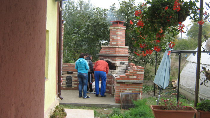 IMG_3169 - ANSAMBLU RUSTIC DE GRADINA LA LAZU
