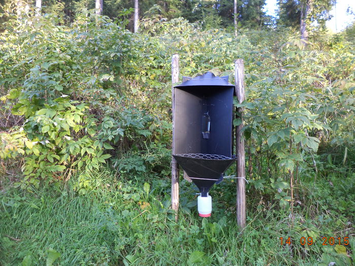Un dispozitiv pentru prins insecte in padure - EXPOZITIA ANIMALE SARMAS HARGHITA 2015