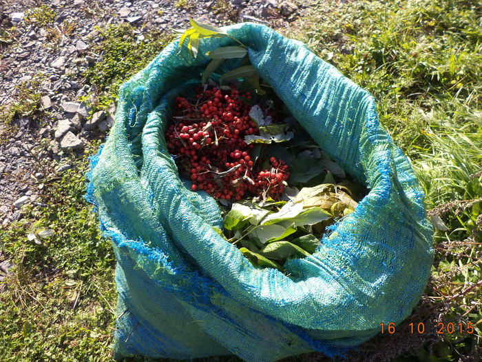 Sacul cu bunatati la capre