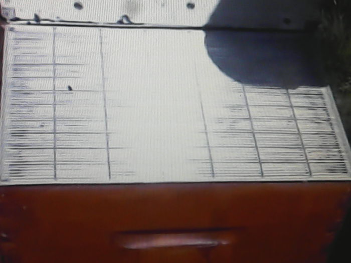 IMG_20151022_152255 - ALBINE