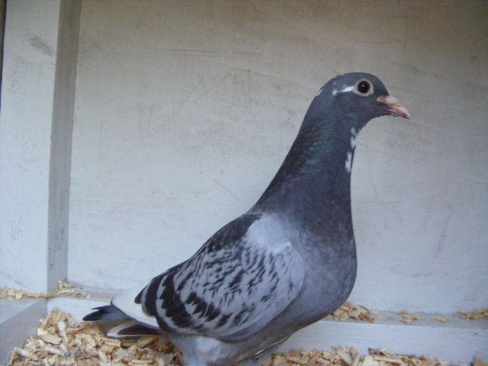 Picture 015 - PUI 2015