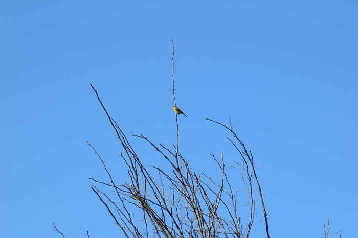 DSC_0139 - DE PRIN NATURA