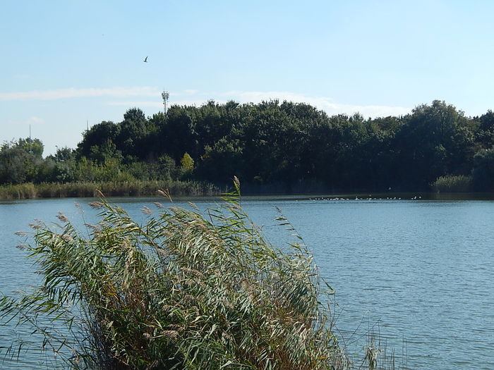 DSCN0089 - Zoo Szeged 09-2015