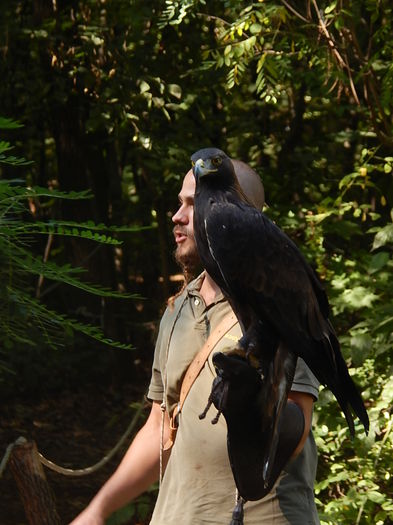 DSCN0113 - Zoo Szeged 09-2015