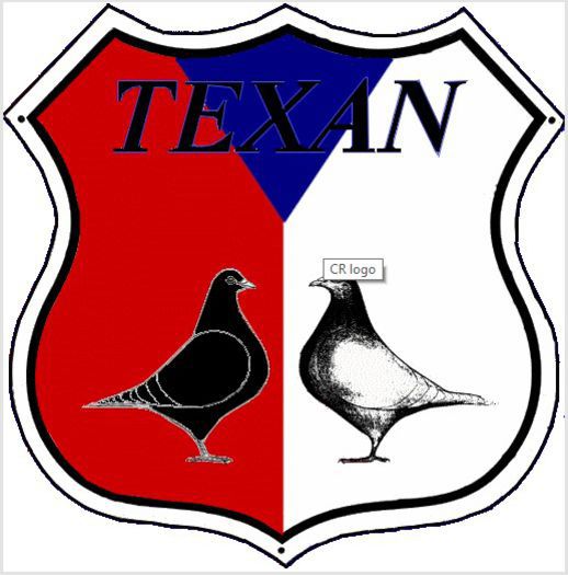 TEXAN - PERECHEA 07_ Galben si Rosu ciocanit_pentru 2018