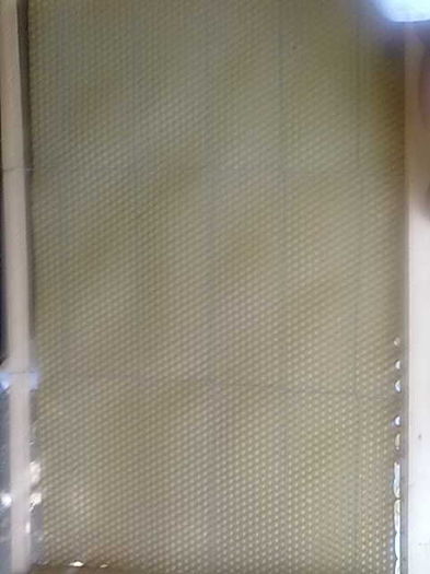 07062014714 - Apicultura