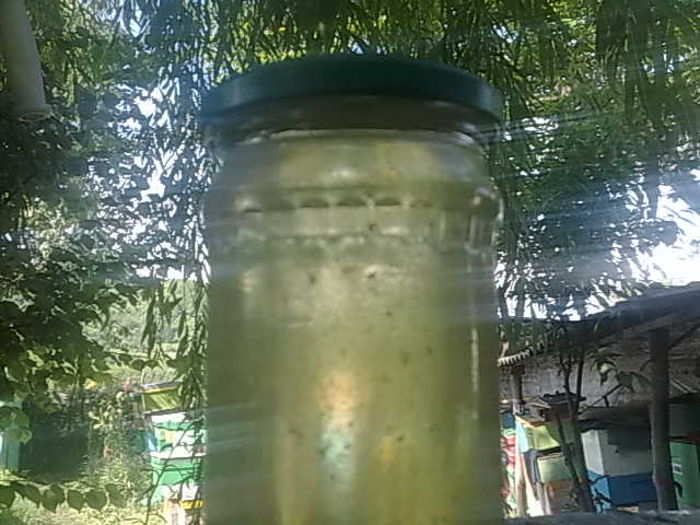 03062014710 - Apicultura