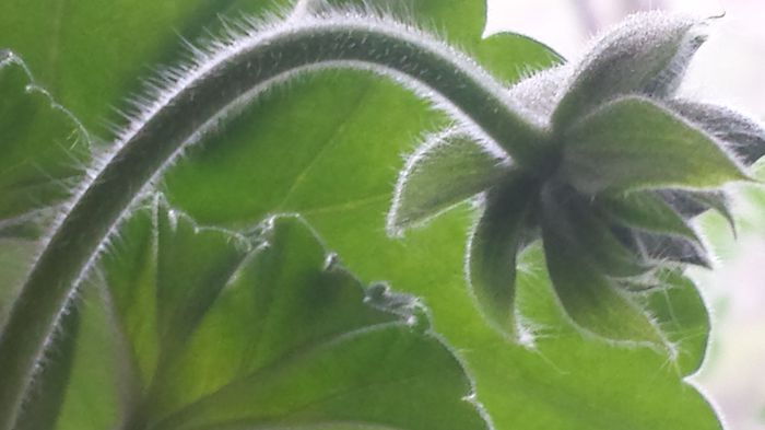 20150329_160437