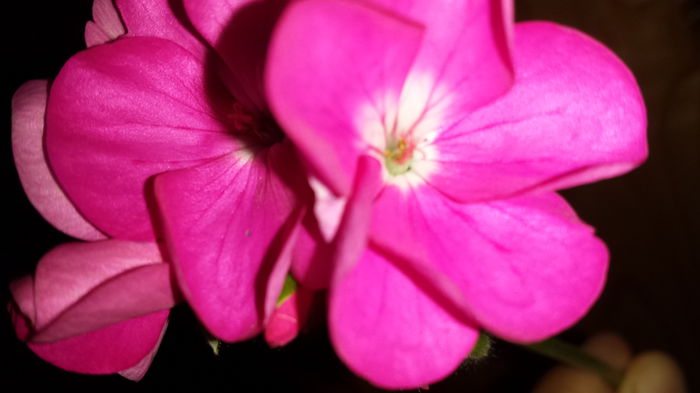 20150417_063123