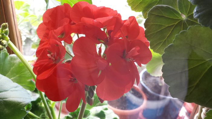 20150418_124008