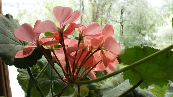 20150418_124027