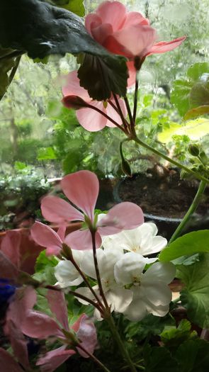 20150418_124050
