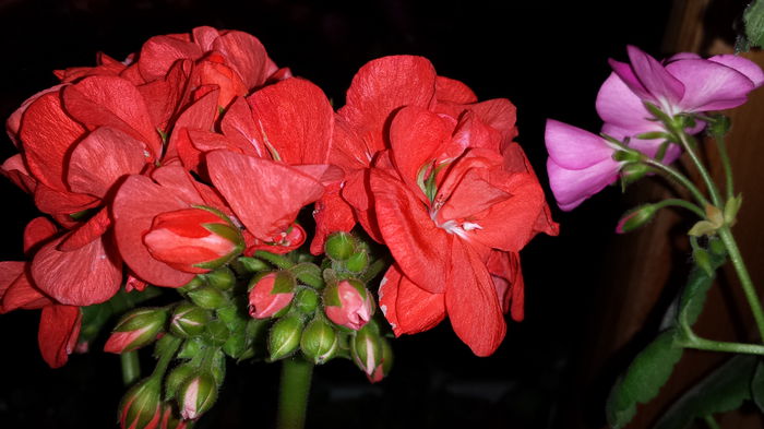 20150418_204414