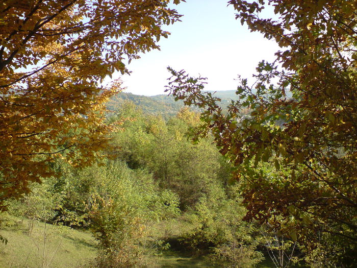 DSC01068 - Culorile toamnei