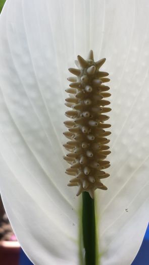 20140521_151411