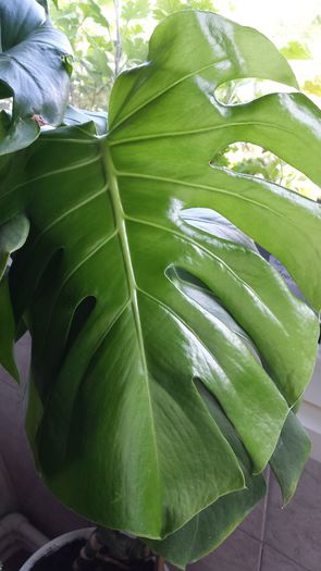 20140521_151526