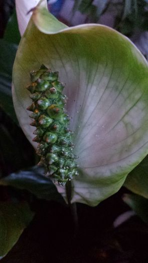 20140523_203200