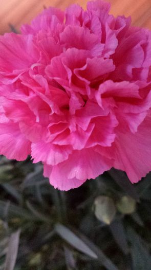 20140603_144547 - Altele