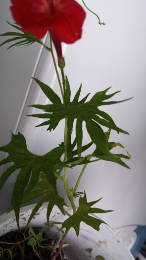 20140723_104831
