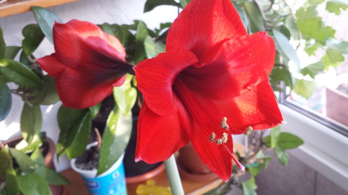 20150307_161758