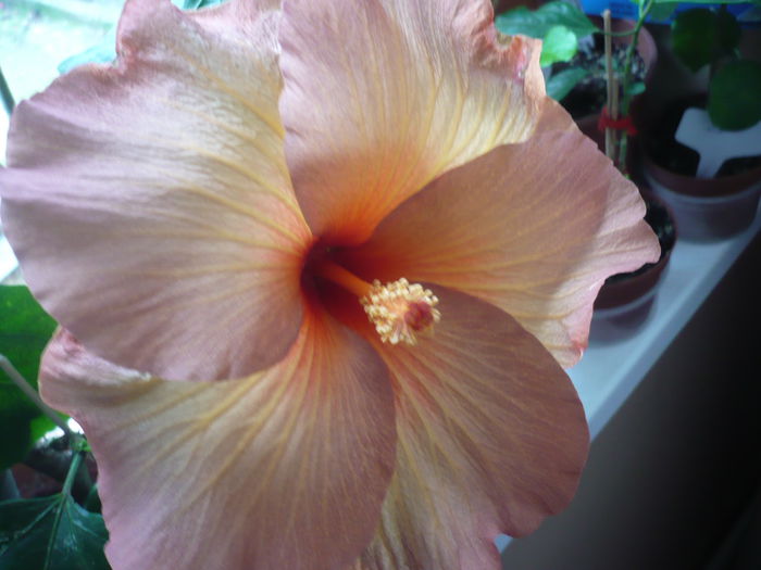 P1240480