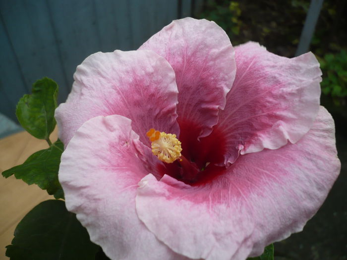 P1240493
