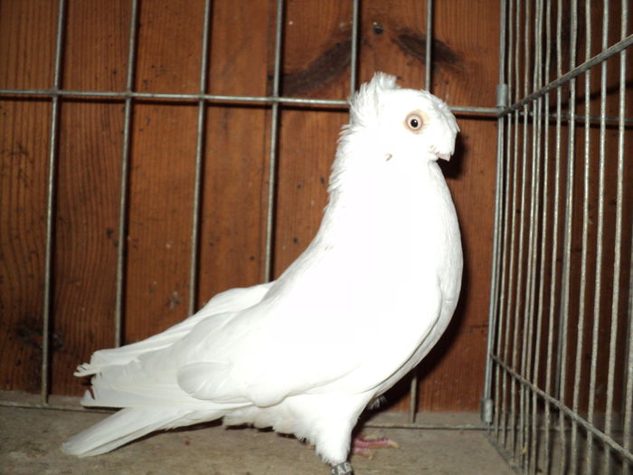 DSC00791