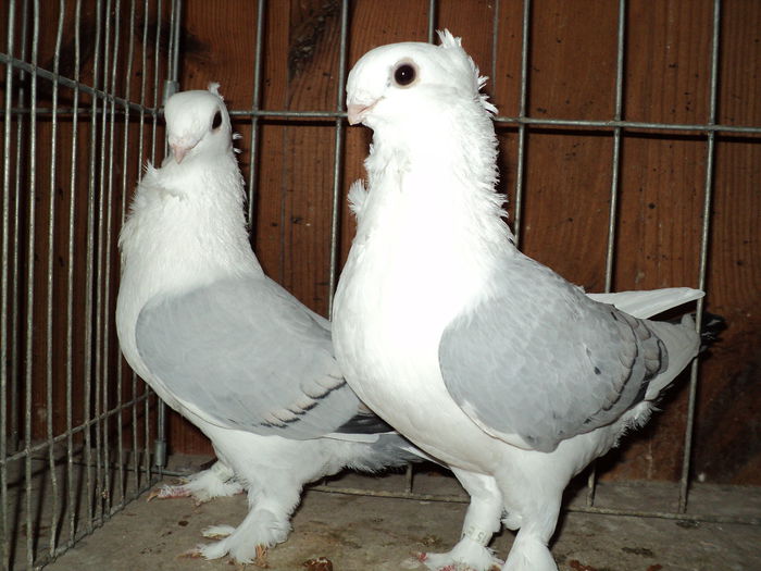 DSC00820