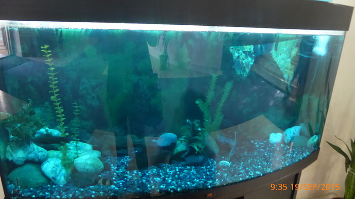 P1010411