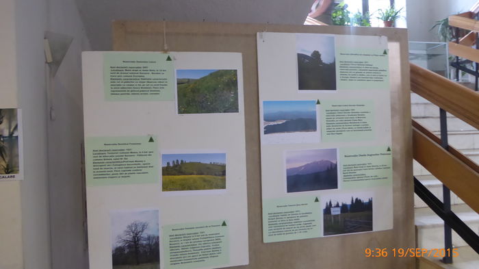 P1010414 - ROMCON SUCEAVA 2015