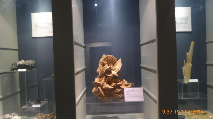 P1010420