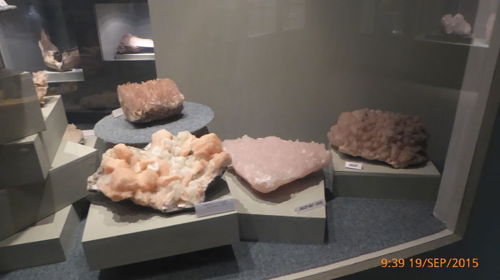P1010427
