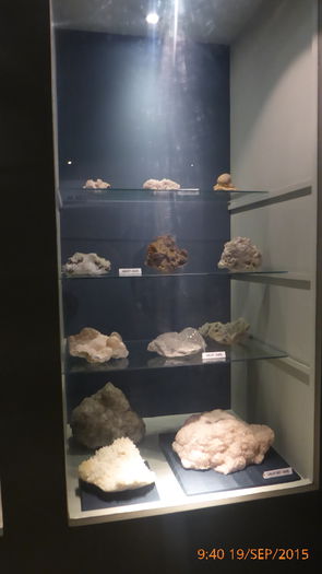 P1010432