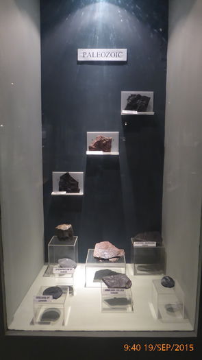 P1010433