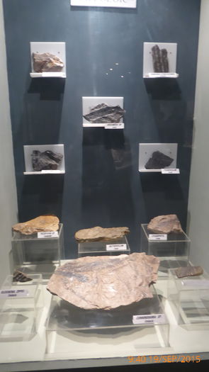 P1010434