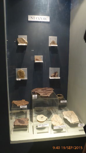 P1010435