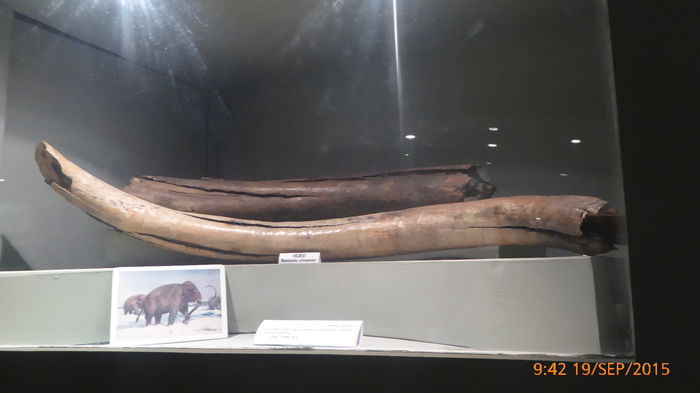 P1010439
