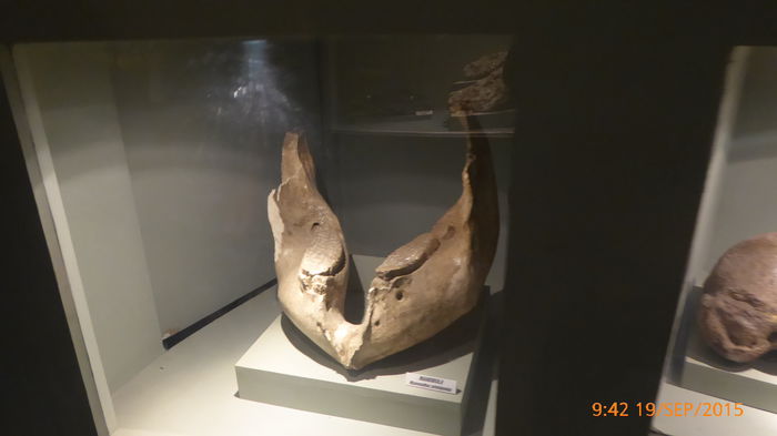 P1010440
