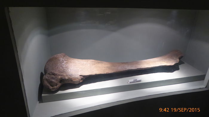 P1010441