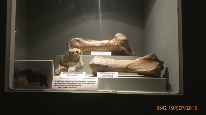 P1010444