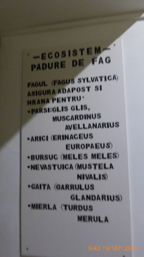 P1010447