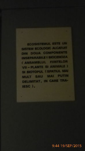 P1010451