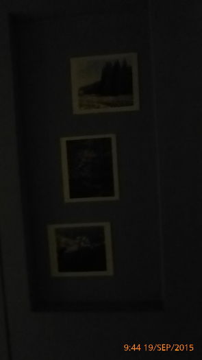 P1010452