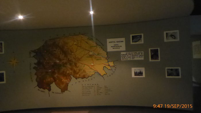 P1010460