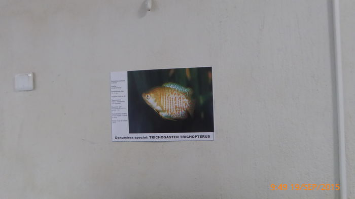P1010471