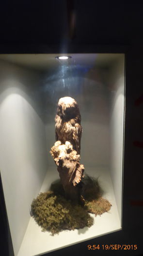 P1010492