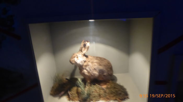 P1010503