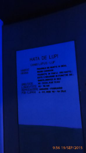 P1010507