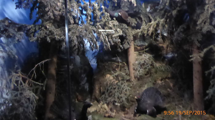 P1010508
